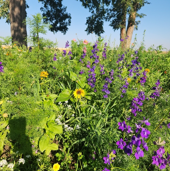 Meet your Posher, Madeleine - Picture 1 of 1